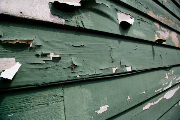 Best Siding for Multi-Family Homes  in Sheboygan Falls, WI