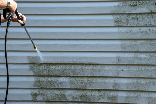 Affordable siding repair and maintenance services in Sheboygan Falls, WI