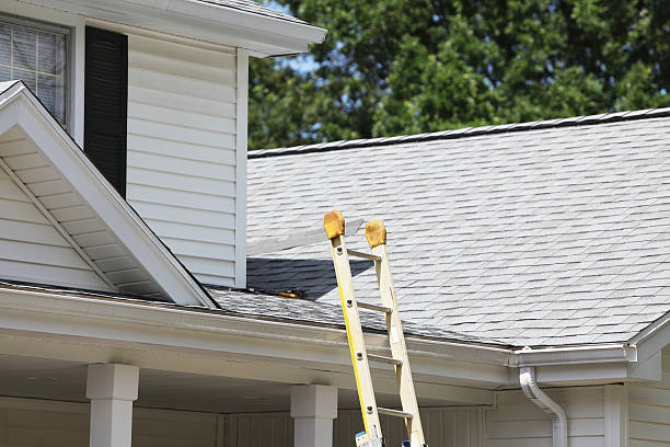 Best Custom Trim and Detailing for Siding  in Sheboygan Falls, WI